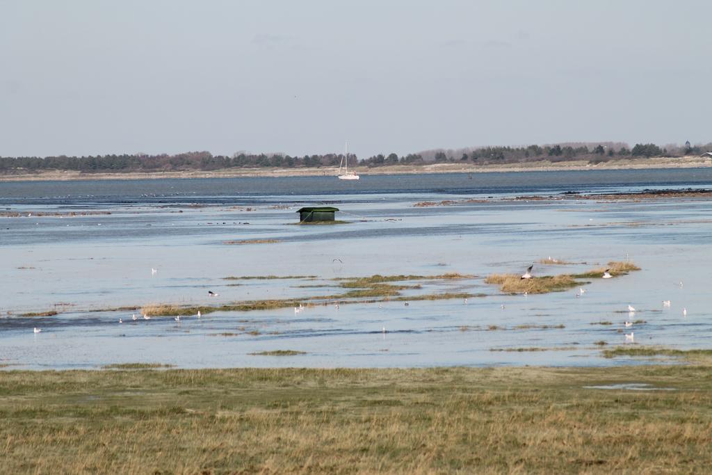 Campingplatz De La Baie-baie De Somme-sites Et Paysages